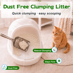 worda cat litter